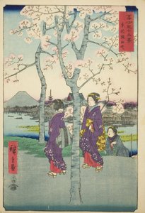 Nábřeží Sumida ve východním hlavním městě (Toto Sumida-zutsumi), ze série „Třicet šest pohledů na horu Fuji (Fuji sanjurokkei)“ od Utagawa Hiroshige