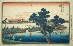 Pohled na Lotosový rybník v Shinobugaoka (Shinobugaoka hasuike no zu), ze série "Slavné pohledy na východní hlavní město (Toto Meisho)" od Utagawa Hiroshige