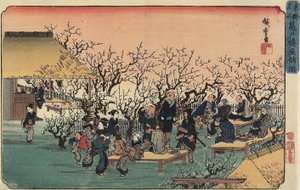 Pohled na Plum Garden v Kameido, 1832-1834