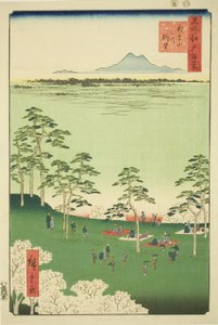 Pohled z Asuka pull (Asukayama se trochu nosí), ze série „Hřeben pro hřebeny pohledy na Edo (Sto slavných pohledů na Edo)“ od Utagawa Hiroshige