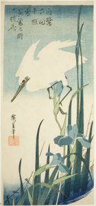 Bílá volavka a kosatec od Utagawa Hiroshige