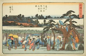 Wisteria v plném květu v okrscích svatyně Kameido Tenmangu (Kameido Tenmangu keidai fuji hanazakari no zu), ze série „Nově vybraná slavná místa v Edo (Shinsen Edo meisho)“ od Utagawa Hiroshige