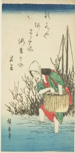 Žena sbírá mořské řasy od Utagawa Hiroshige