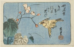 Žlutý pták a begonie od Utagawa Hiroshige