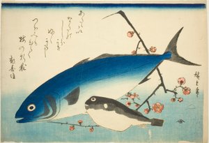 Yellowtail, blowfish, a švestka větev od Utagawa Hiroshige