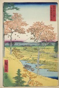 Yuhi Hill v Meguro ve východním hlavním městě (Toto Meguro Yuhigaoka), ze série „Třicet šest pohledů na horu Fuji (Fuji sanjurokkei)“ od Utagawa Hiroshige