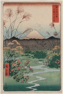 ōtsuki Plain v provincii Kai (Kai ōtsuki no hara), ze série Třicet šest pohledů na horu Fuji od Utagawa Hiroshige