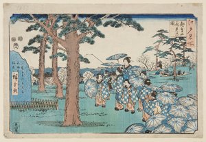 Prohlídka třešňového květu na kopci Asuka (Asukayama hanami no zu) (barevný dřevěný tisk)
