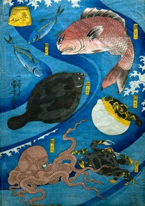 Mysl ryb (Uo no kokoro), kolem 1842 od Utagawa Kuniyoshi