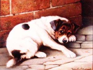 Dobrý společník (deska)