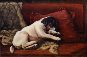 Odpolední snooze (barevné lito)