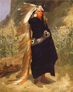 Portrét indiánského náčelníka, 1875