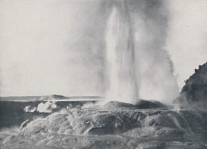 Gejzír, Nový Zéland, 1924 od Valentine and Sons Ltd