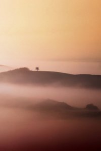 Lone Tree Zlatá mlha od Vanja Tajnsek