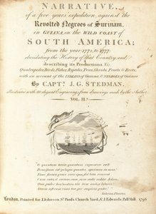 Příběh pětileté expedice proti vzbouřeným černochům ze Surinamu v Guyaně na Divokém pobřeží Jižní Ameriky (svazek II) od Various Artists, including William Blake, after John Gabriel Stedman