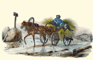 Le Paysan Russe. v „“ Album Grotesque, Choices of Outstanding Types“, ilustrace Victor Adam, Paříž, kolem roku 1850. od Victor Adam