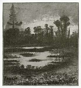 Les Chants du Crépuscule, 19. století (č. rytina) od Victor Hugo