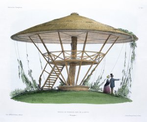 Robinsonův slunečník, Parc de la Motte, Burgundsko, z 