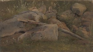 Studie kamenné hromady od Vilhelm Petersen