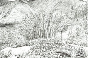 Starý kamenný most v jezerní oblasti, 2005 od Vincent Alexander Booth