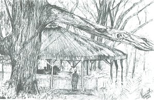 Venkovní bar, jezero Naivasha, 2006; (inkoust na papíře) od Vincent Alexander Booth