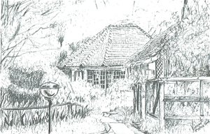 Pokoje v hotelu, Lake Naivasha, 2006 od Vincent Alexander Booth