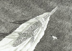 Storm Creators Cape Canaveral, 2022 od Vincent Alexander Booth