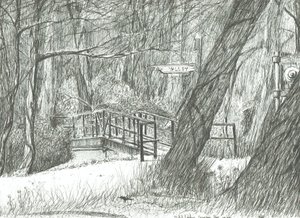 Starý kovový most, Bramhall park, 2004 od Vincent Alexander Booth