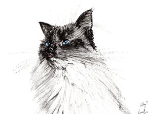Proč? 2016, (inkoust na papíře) od Vincent Alexander Booth
