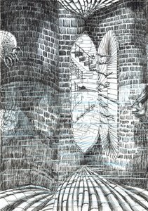 strana23, Hrad v lese Findhorn, 2006, (tuš na papíře) od Vincent Alexander Booth