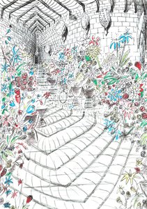 strana 37, Zámek v lese Findhorn, 2006, (tuš na papíře) od Vincent Alexander Booth