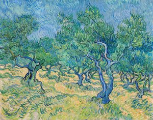 Olivový háj, 1889. od Vincent van Gogh