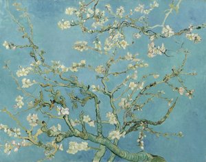 Kvetoucí mandloň od Vincent van Gogh