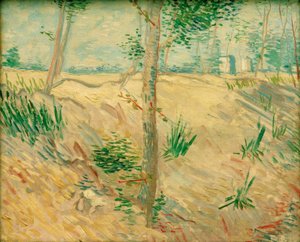 Kmeny stromů na slunci od Vincent van Gogh
