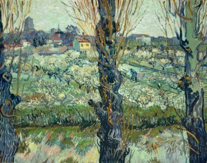 Pohled na Arles od Vincent van Gogh