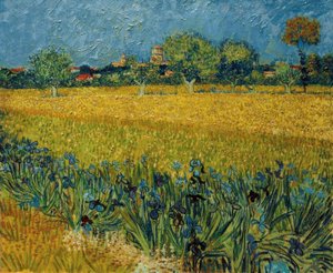 Pohled na Arles s květy iris v popředí