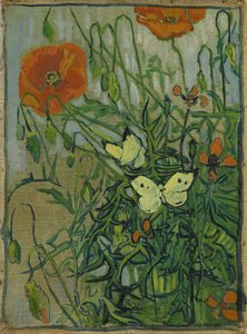 Motýli a vlčí máky od Vincent van Gogh