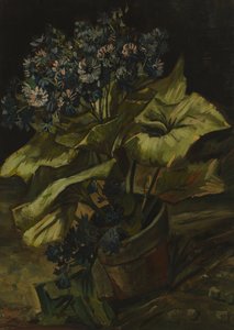  od Vincent van Gogh