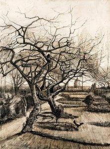 Zahrada fary v Nuenenu. 1884 od Vincent van Gogh