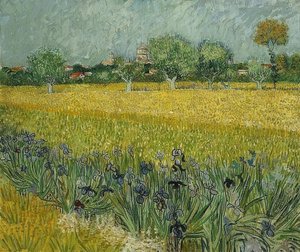 Pole s kosatci poblíž Arles. května 1888 od Vincent van Gogh