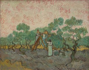 Ženy sklízejí olivy. 1889 od Vincent van Gogh