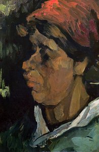 Hlava holandského rolníka, 1884 od Vincent van Gogh