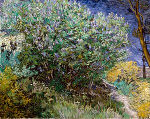 Šeříkový keř. Vincent VAN GOGH (1853-1890) od Vincent van Gogh