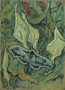 Velký zelený páv (Sfinga Smrtihlav) - obraz Vincenta van Gogha (1853-1890), olej na plátně (33,5x24,5 cm) od Vincent van Gogh