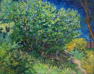 Šeříky od Vincent van Gogh