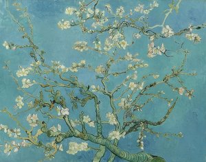 Mandlové květy. 1890 od Vincent van Gogh