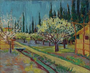 Sad obklopený cypřiši. 1888 od Vincent van Gogh