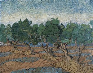 Olivový háj od Vincent van Gogh