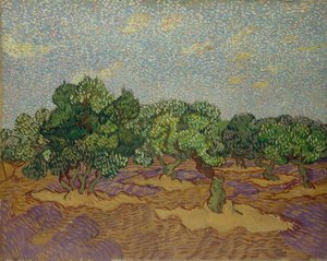 Olivovníky, 1889. od Vincent van Gogh