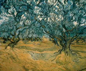 Olivovníky od Vincent van Gogh